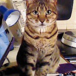 Picture of Topaz